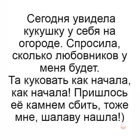 Сегодня увидела кукушку у себя на огороде Спросила сколько любовников у меня будет Та куковать как начала как начала Пришлось её камнем сбить тоже мне шалаву нашла
