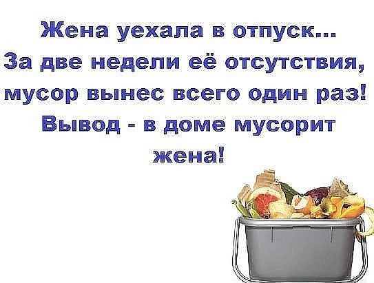 Жена уехала в отпуск За две недели её отсутствия мусор вынес всего один раз Вывод в доме мусорит жена