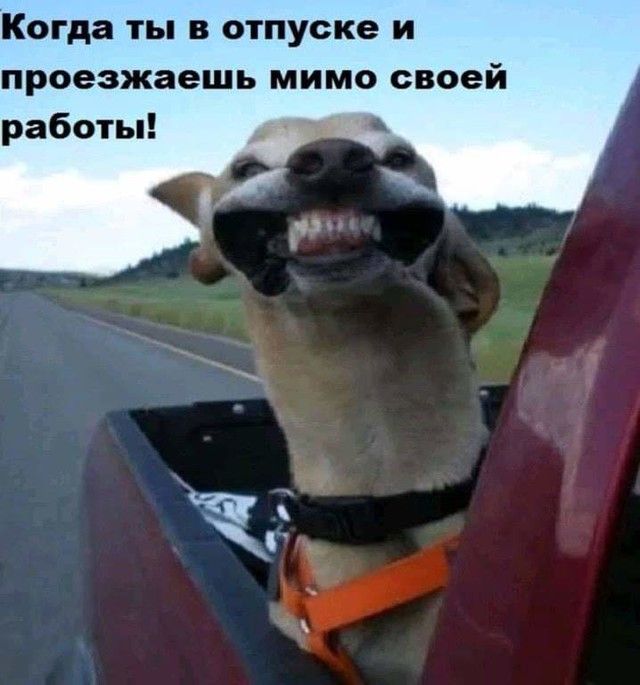 Когда ты в отпуске и проезжаешь мимо своей работы
