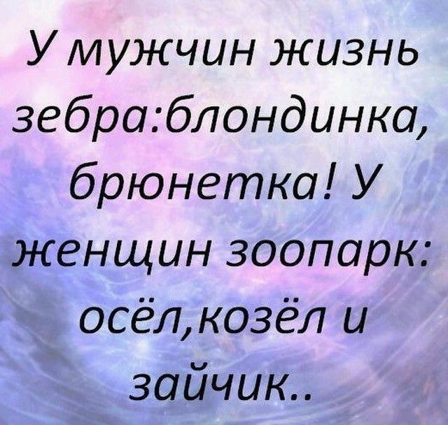 У мужчин жизнь 3ебраблондинка брюнетка У женщин зоопарк осёлкозёл и зайчик