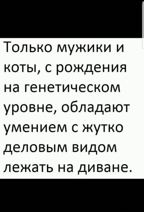 Только мужики и коты с рождения на генетическом уровне обладают умением с жутко деловым видом лежать на диване