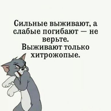 Сильные выживают а слабые погибают не верьте Выживают только хитрожопые