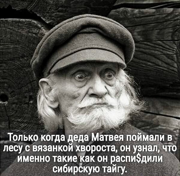 __Трлько когда мётвея _ пес вязанкой хёороста ону именно такие ак он распи_д сибирёкую тайгу