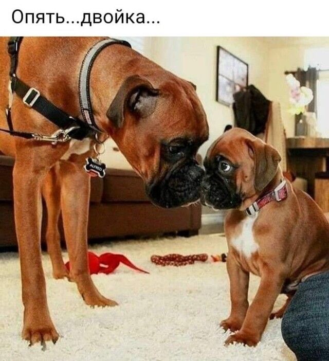 0пятьдвойка