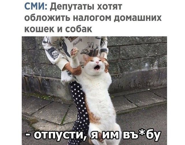 СМИ депутаты хотят обложить налогом домашних
