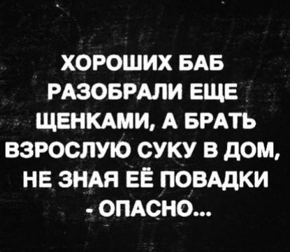 ХОРОШИХ БАБ РАЗОБРАЛИ ЕЩЕ ЩЕНКАМИ А БРАТЬ ВЗРОСЛУЮ СУКУ В дОМ НЕ ЗНАЯ ЕЁ ПОВАДКИ ОПАСНО