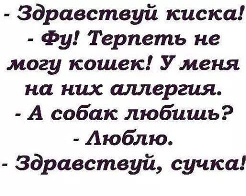 Здравствуй киска Фу Терпеть не могу кошек Уменя на них аллергия А собак любишь Аюблю Здравствуй сучка