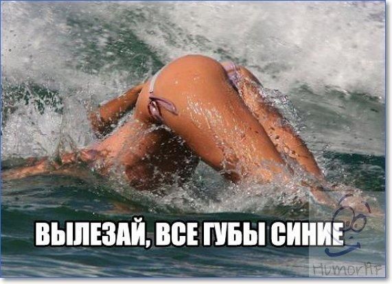 выпшй вен пвы вини Ё
