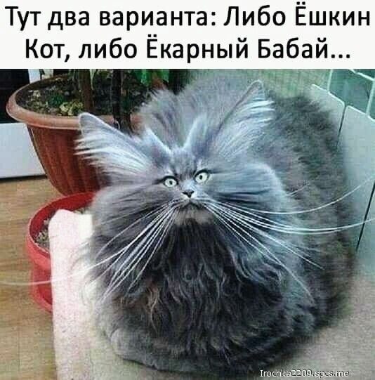 Тут два варианта Либо Ёшкин Кот либо Ёкерный Бабай