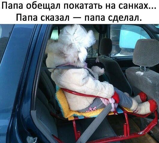 Папа обещал покатать на санках Папа сказал папа сделал
