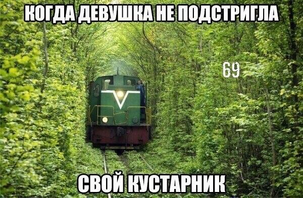 тётдвнин 1 __ _ ц Е0г