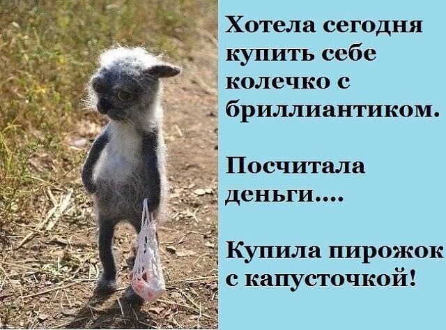 Хотела сегодня купить себе колечко _ бриллиантиком Посчитала деньги Купила пирожок с капусточкой