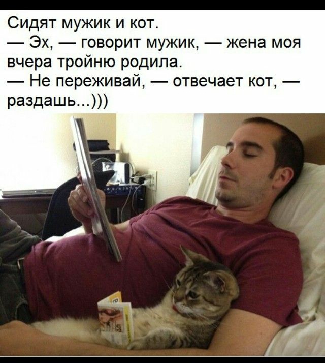 СИДЯТ МУЖИК И КОТ ЭХ говорит МУЖИК жена МОЯ вчера тройню родила Не переживай отвечает кот раздашь