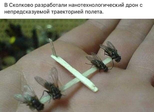 В Скопково разработали нанотехнологический дрон непредсказуемой траекторией полета