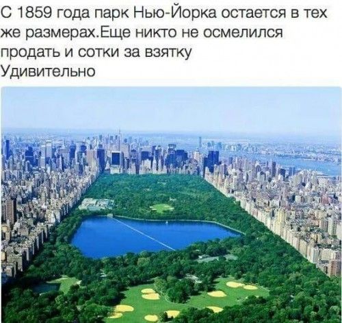 С 1859 года парк Нью Йорка остается в тех же размерахЕще никто не осмелился продать и сетки за взятку Удивительно