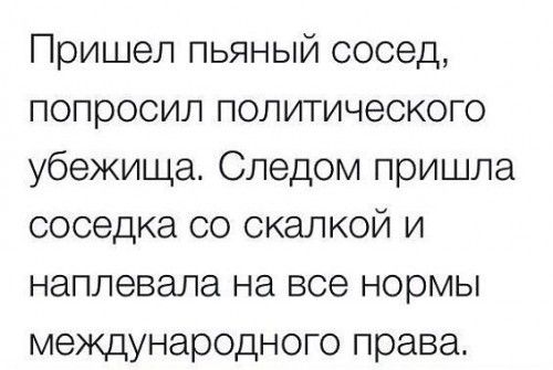 Пришел пьяный сосед попросил политического убежища Следом пришла соседка со скалкой и наплевала на все нормы международного права