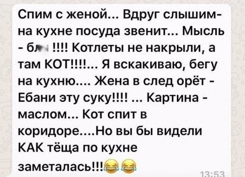 Спим женой Вдруг слышим на кухне посуда звенит Мысль бт Котлеты не накрыли а там КОТ Я вскакиваю бегу на кухню Жена в след орёт Ебани эту суку Картина маслом Кот спит в коридореНо вы бы видели КАК тёща по кухне заметалаСЬПЭз