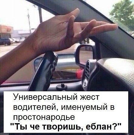 _ д Универсальный жест водителей именуемый в простонародье Ты че творишь еблан