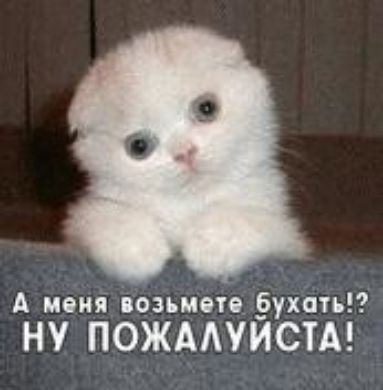 А меня возьмете бухать НУ ПОЖААУЙСТА