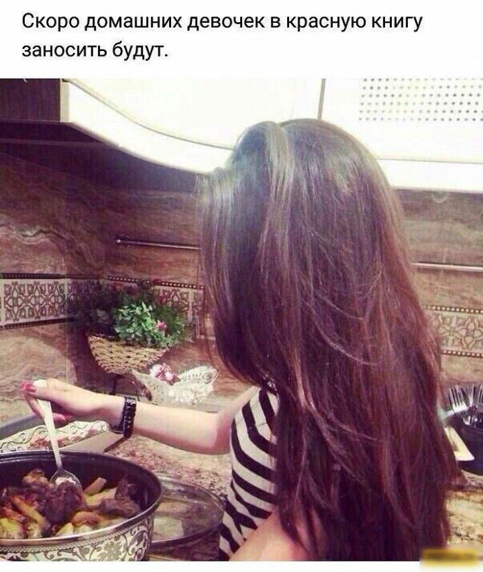 Скоро домашних девочек в красную книгу заносить будут