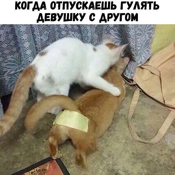 КОГ АА ОТПУСКАЕШЬ Г УАЯТЬ АЕВУШКУ С АРУГОМ