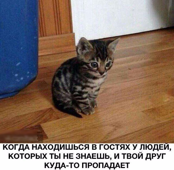 КОГДА НАХОДИШЬСЯ в гостях у рюдЕи которых ты НЕ знмгшь и твои друг КУДА ТО ПРОПАДАЕТ