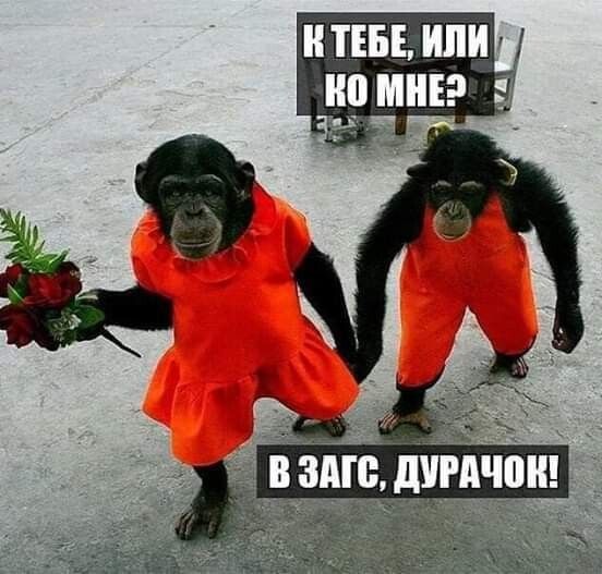 ТЕБЕ ИЛИ МНЕ в Ще дігдчпн