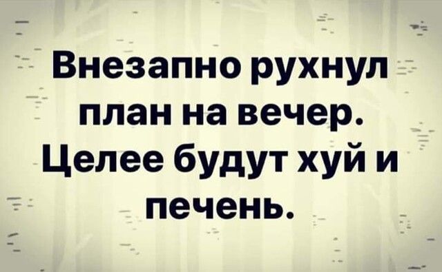 Внезапно рухнул план на вечер Целее будут хуй и печень
