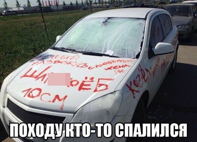 щиттуники спдпипсп