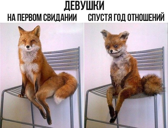 дЕВУШНИ _ НА ПЕРВОМ ВВИДАНИИ СПУСТЯ ГОД ОТНОШЕНИИ