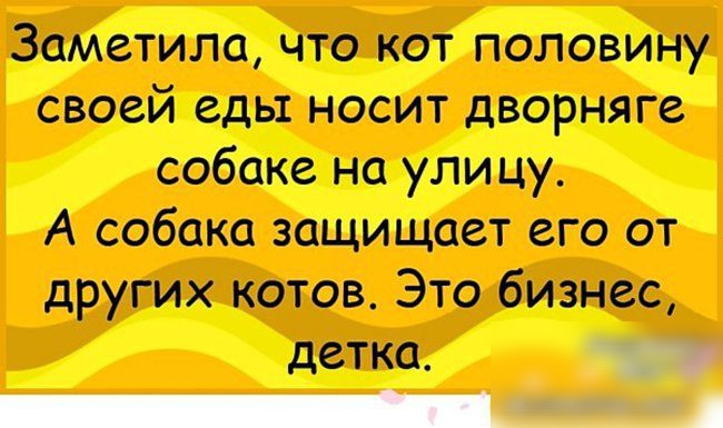 3аметила что кот половину своей еды носит дворняге собаке на улицу А собака защищает его от других котов Это бизнес детка 1 _ А
