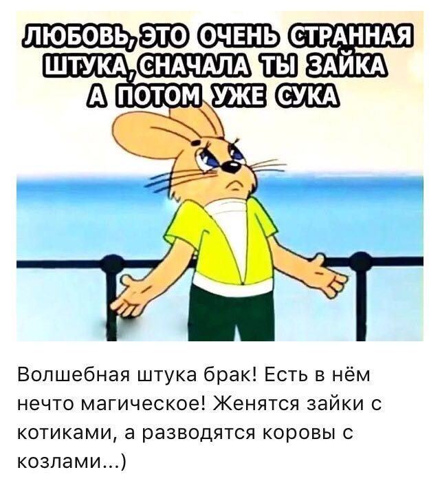 лювовь9Ю стрАННАя ШТУКА ЩЩЩН ЗАЙКА Волшебная штука брак Есть в нём нечто магическое Женятся зайки с котиками а разводятся коровы козлами