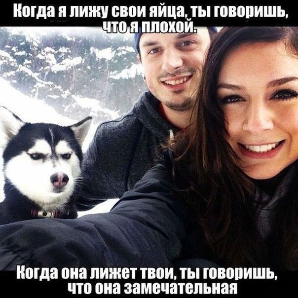 Мда я ПИШУ свои яйца ТЫ ШВВПИШЪ Мда она пишет твои ТЫ ЮВЩШШЪ что она замечательная