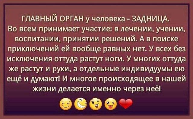 ГЛАВНЫЙ ОРГАН у человека ЗАДНИЦА ВО ВСЕМ принимает участие в лечении учении воспитании принятии решений А В поиске приключений ей вообще равных нет У всех без исключения отгуда растут ноги У многих оттуда же растут и руки а отдельные индивидуумы ею ещё и думают И многое происходящее в нашей жизни делается именно через неё 0960