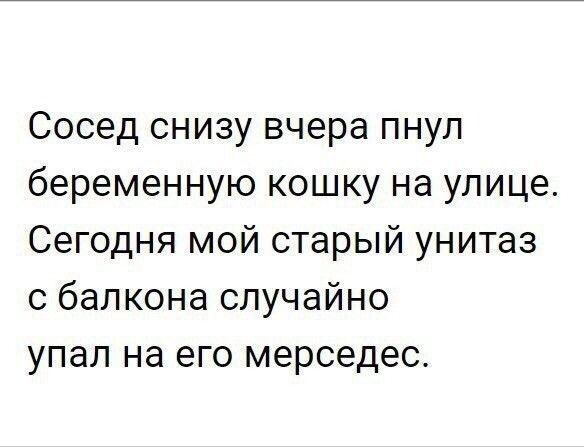 Сосед снизу вчера пнул беременную кошку на улице Сегодня мой старый унитаз с балкона случайно упал на его мерседес