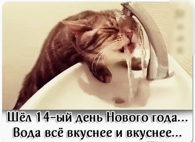ШЁёА 14 ый день Нового года Вода всё вкуснее и вкуснее