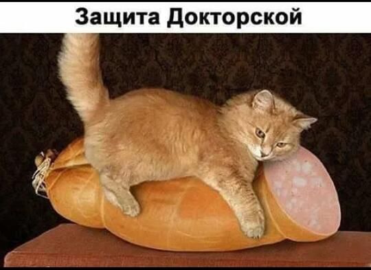Защита докторской