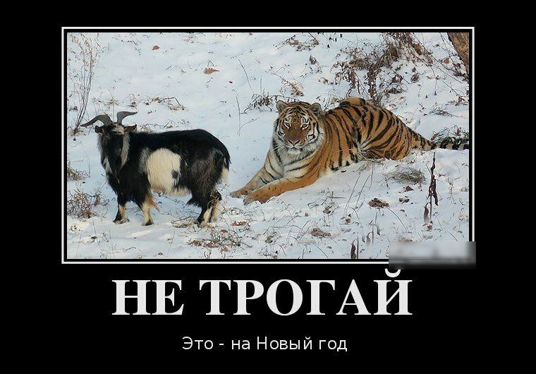 НЕ ТРОГАИ Это на Новый год