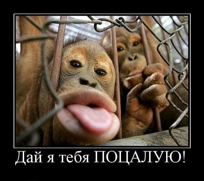 Дай я тебя ПОЦАЛУЪО