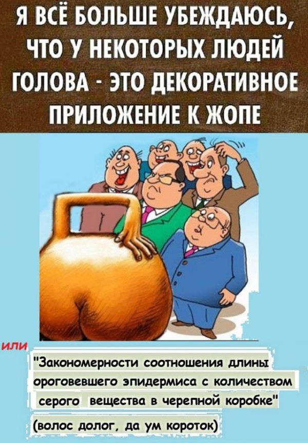 Я ВСЁ БОЛЬШЕ УБЕЖдАЮСЬ ЧТО У НЕКОТОРЫХ ЛЮДЕЙ ГОЛОВА ЭТО дЕКОРАТИВНОЕ ПРИЛОЖЕНИЕ К ЖОЛЕ Закономерности соотношения длины ороговевшего эпидермиса количеством серого веществ в черепной коробке волос долог дд ум короток