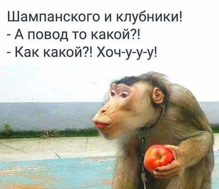 Шампанского и клубники А повод то какой Как какой Хоч у у у