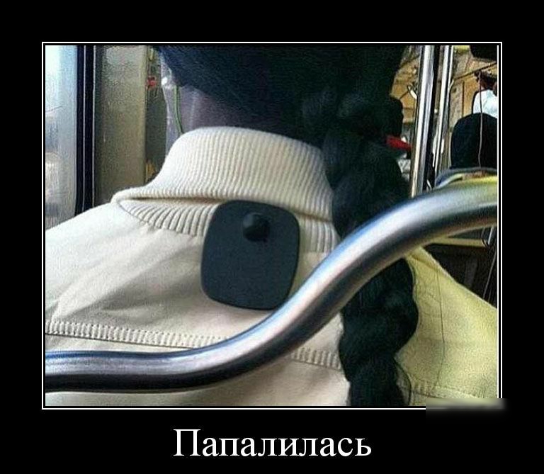 Папалилась