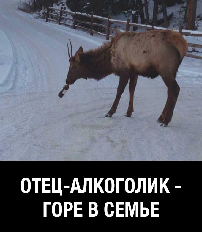 ОТЕЦ АЛКОГОЛИК ГОРЕ В СЕМЬЕ