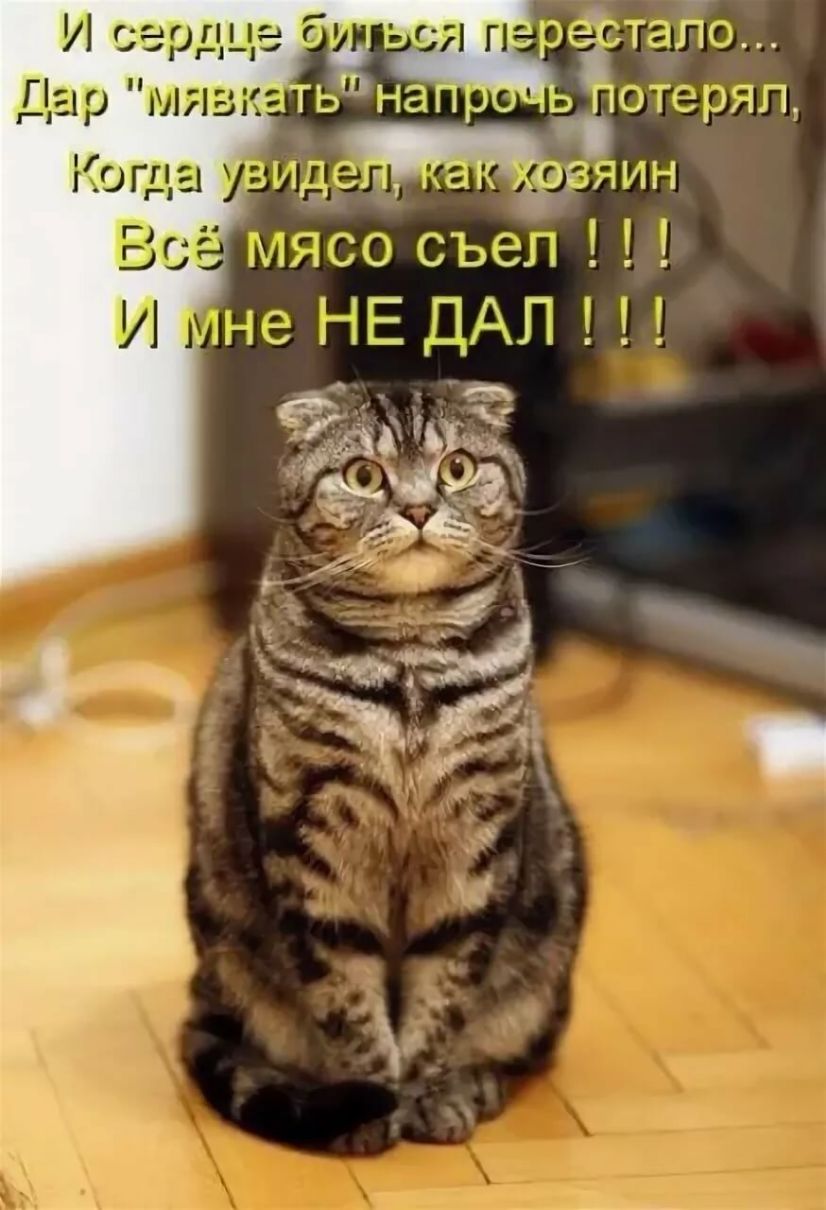 Я ГЬЦБСТЭНЮ дар мнв _ть 1г_п_ь потерял 1 гтмр _ т и_1_1 в Мп іі _ _ г 10 А _д_