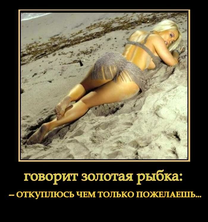 говорит золотая рыбка ОТКУПЛЮСЬ ЧЕМ ТОЛЪКО ПОЯСЕЛАШЬ