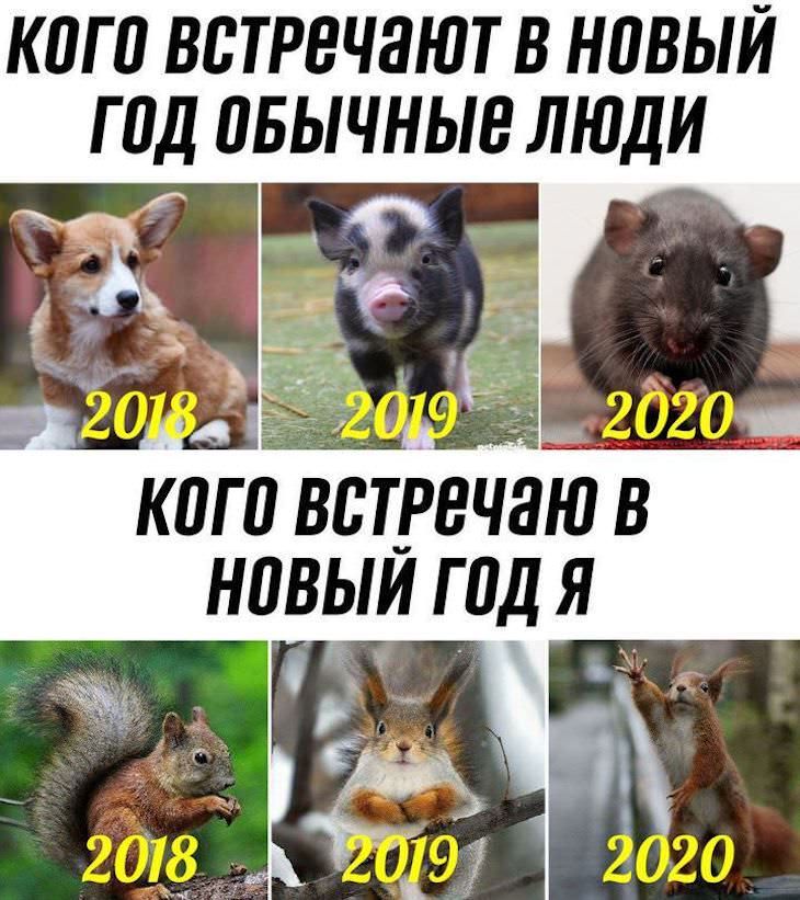КПГ 0 ВВТРЕЧЗЮТ В НПВЫЙ ГПД ПБЫЧНЫЕ ЛЮДИ кит встречаю в наши год я