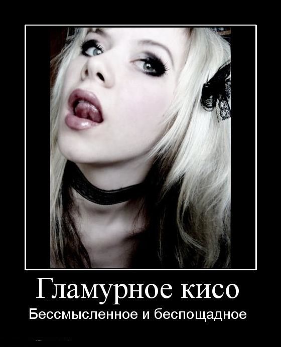 Гламурное кисо Бессмысленное и беспощадное
