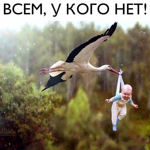 ВСЕМ У КОГО НЕТ