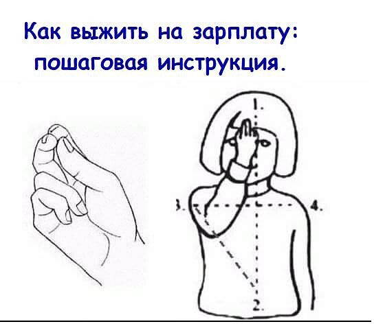 Как выжить на зарплату пошаговая инструкция