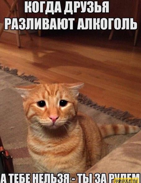 НШДА дРУЗЬП РАЗЛИВАЮТ МПЮПШЬ д ТЕБЕНЕПЬЗЯЫЁЬЗА